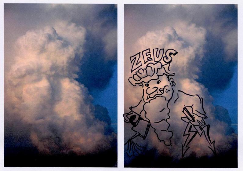 Bild
