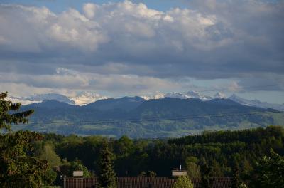 Bild