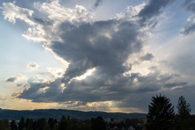 Bild