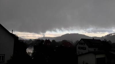 Bild
